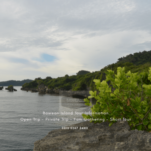 Bawean tourist information 