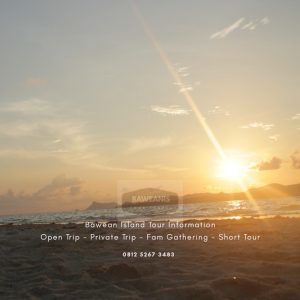 Snorkeling Trip Hopping Island To Gili Noko Bawean 