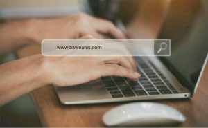 Baweanis Tour Travel